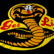 Load image into Gallery viewer, Get Lit Dojo Short Sleeve Shirt